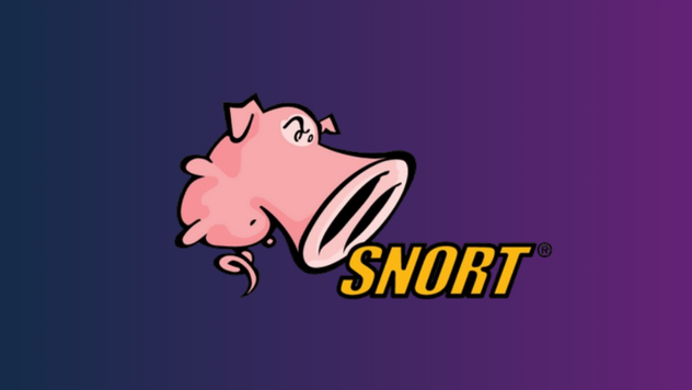 Snort IDS
