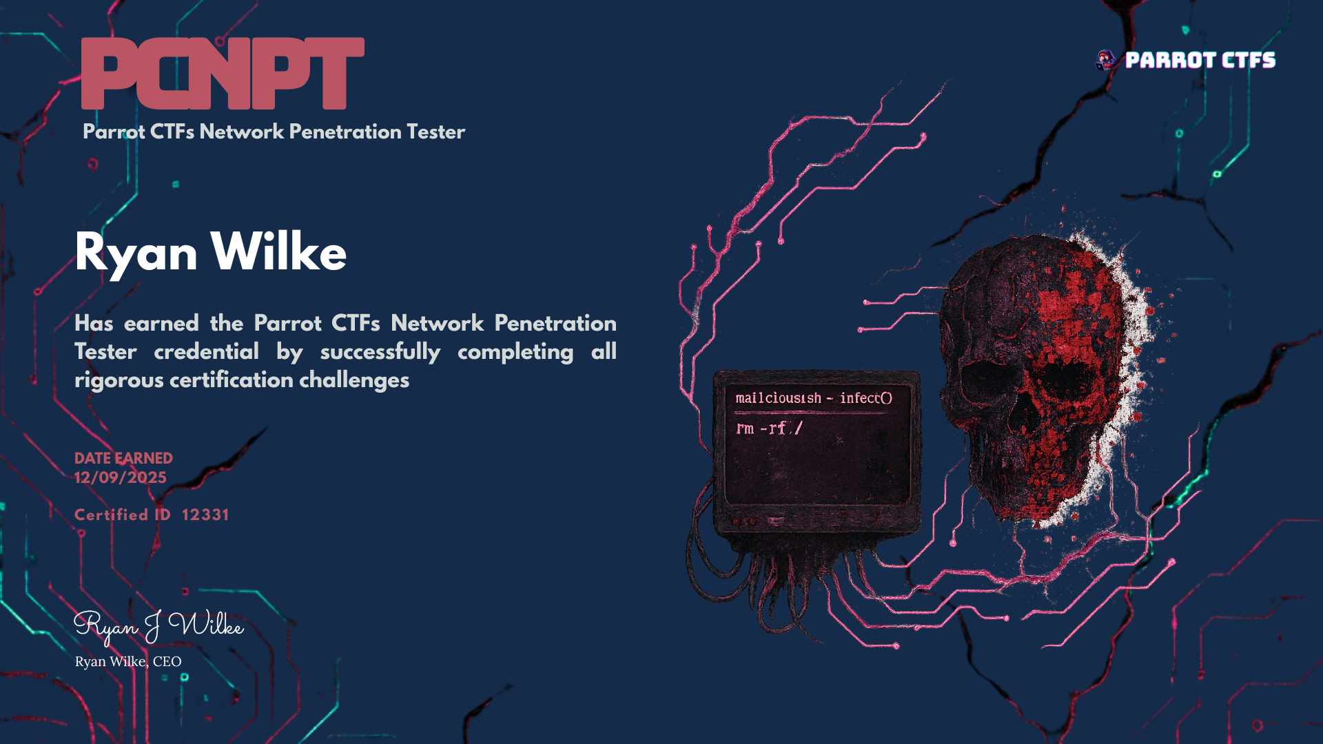 Capture The Flag Image